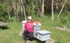 Ann Ross: Award-winning Apiarist