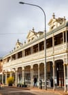 Armidale: Meet the Armadillos