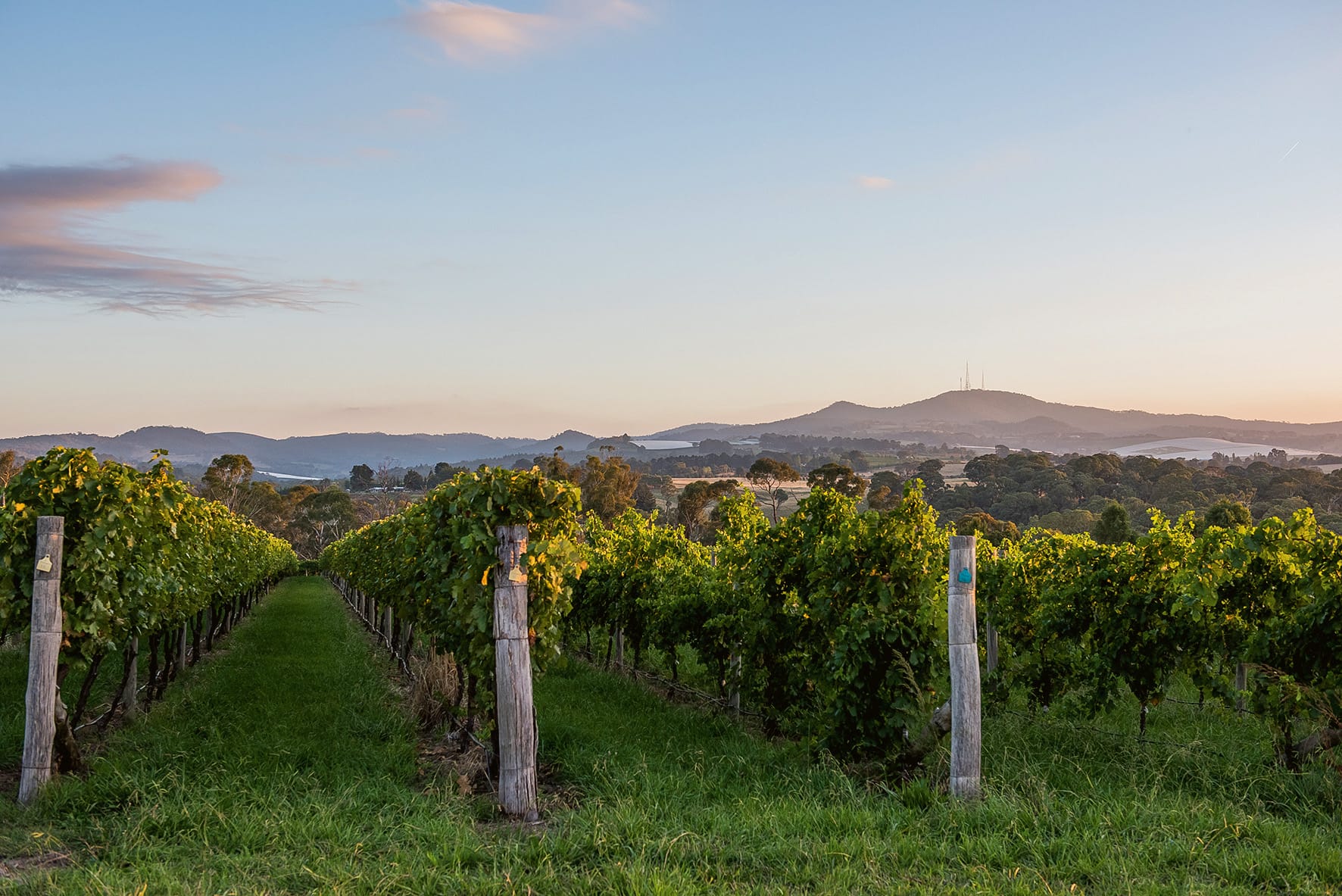 Orange is the new black