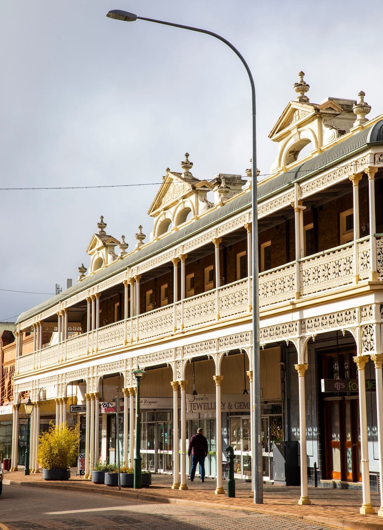 Armidale: Meet the Armadillos
