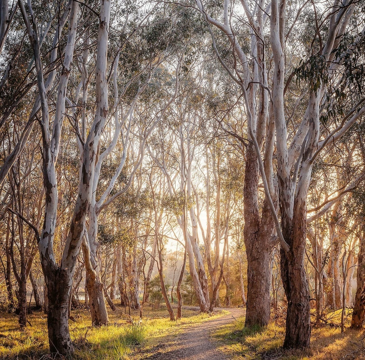Gippsland: Sea to snow