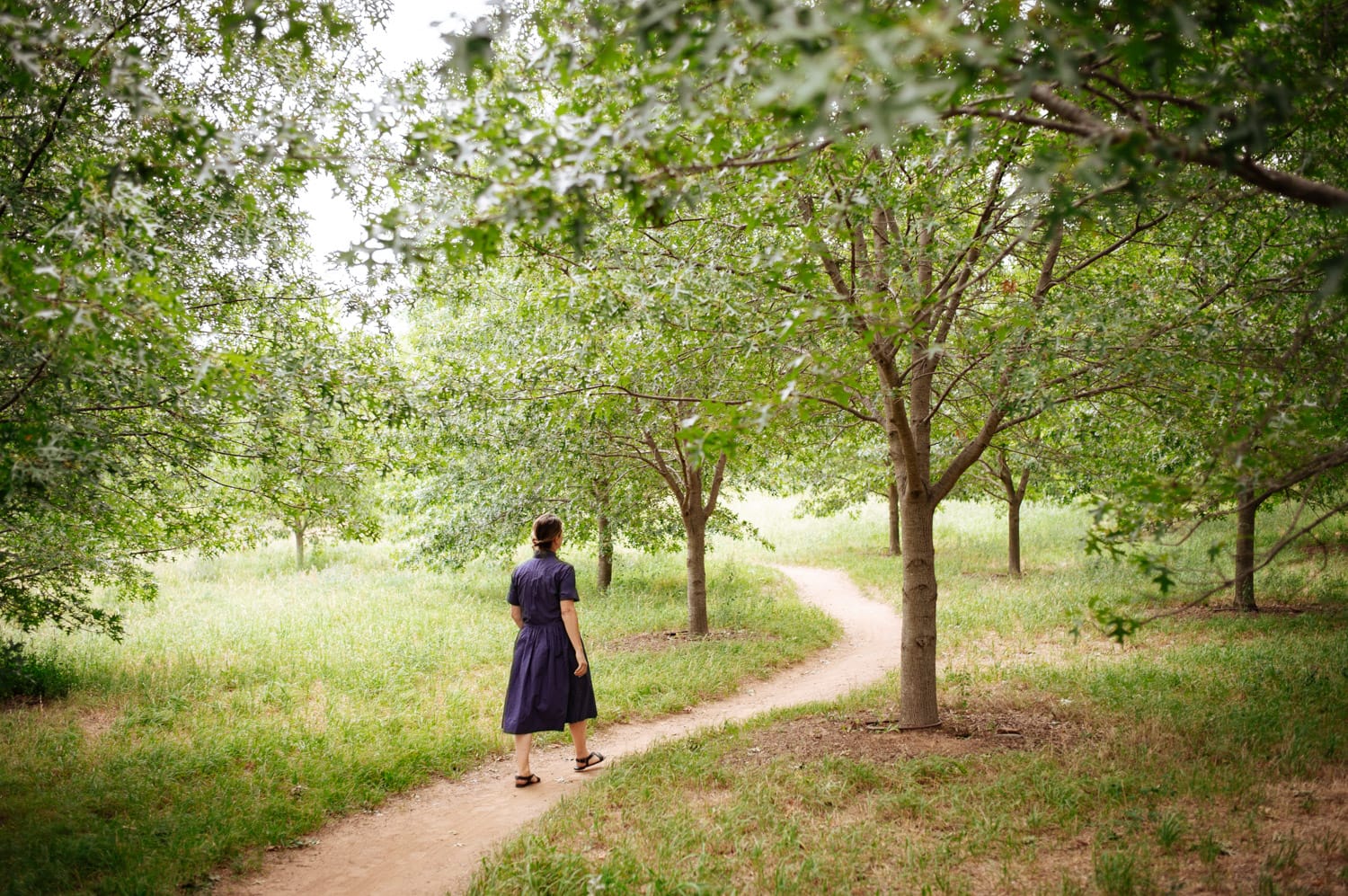 Canberra: The Goldilocks city