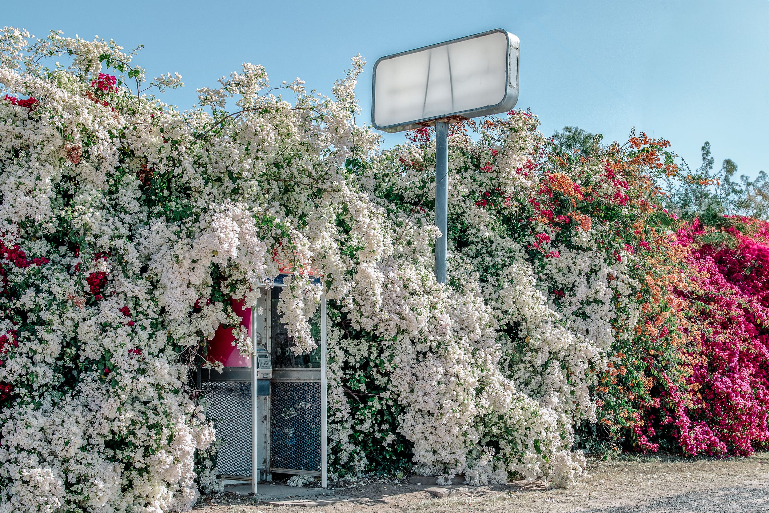 Are you a Patron of The Arts?