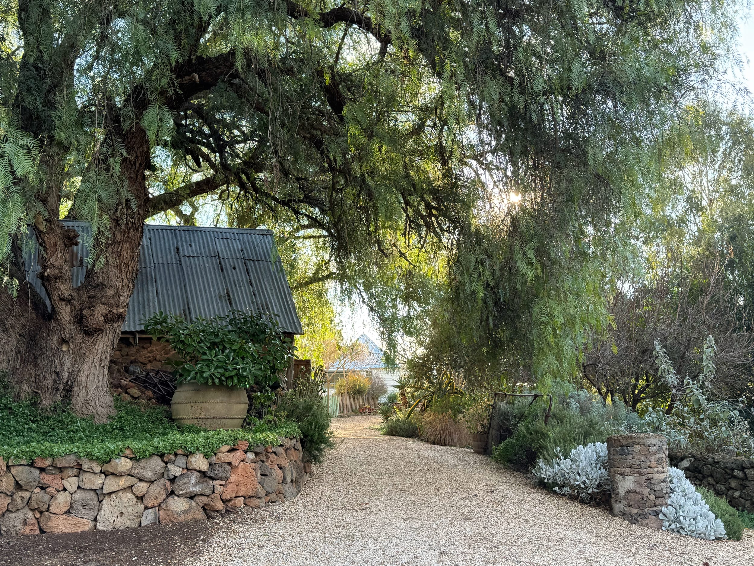 Gardener and Goliath