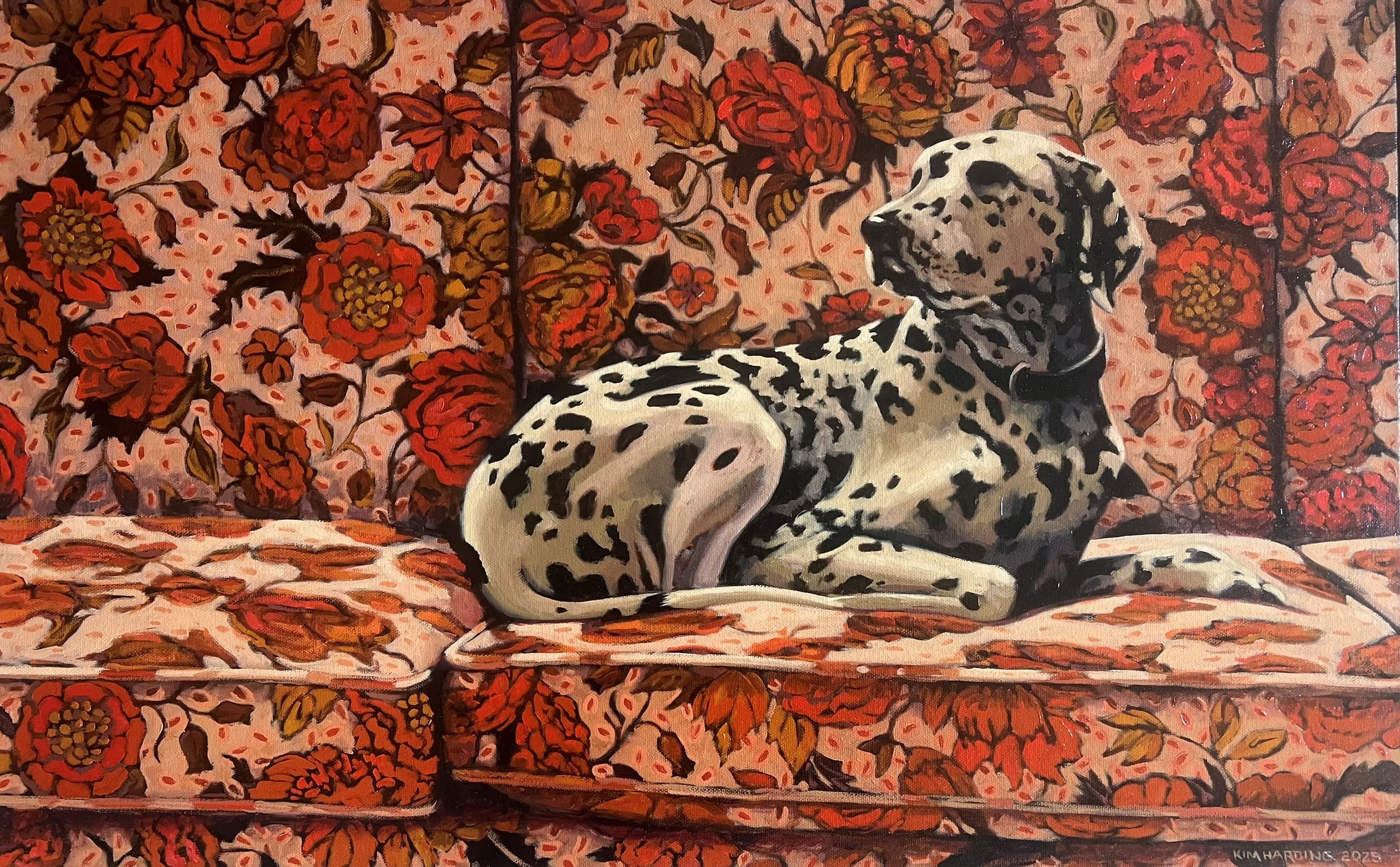 The hunt for the sex-switch ferals