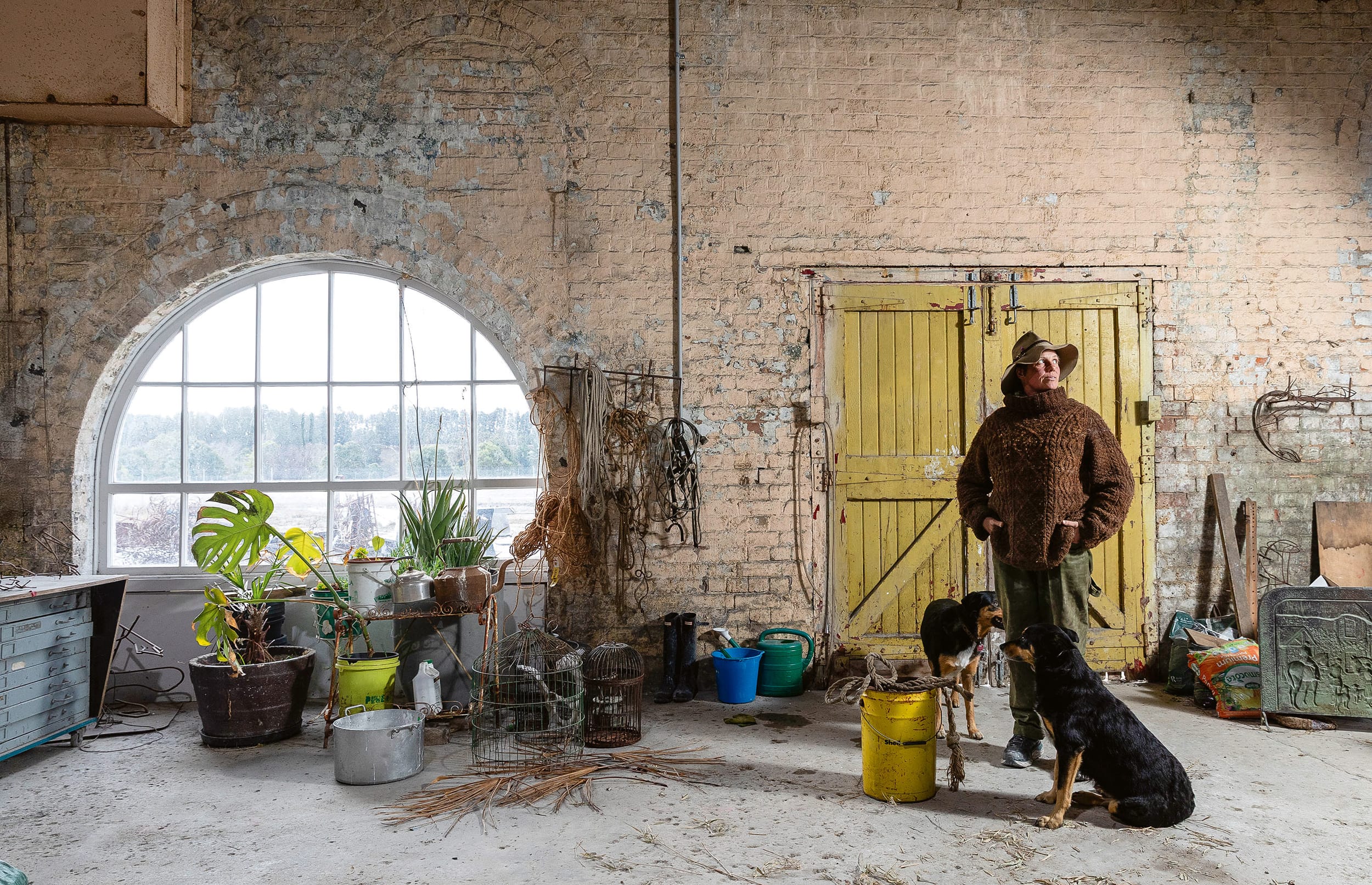 Land of the $1 house