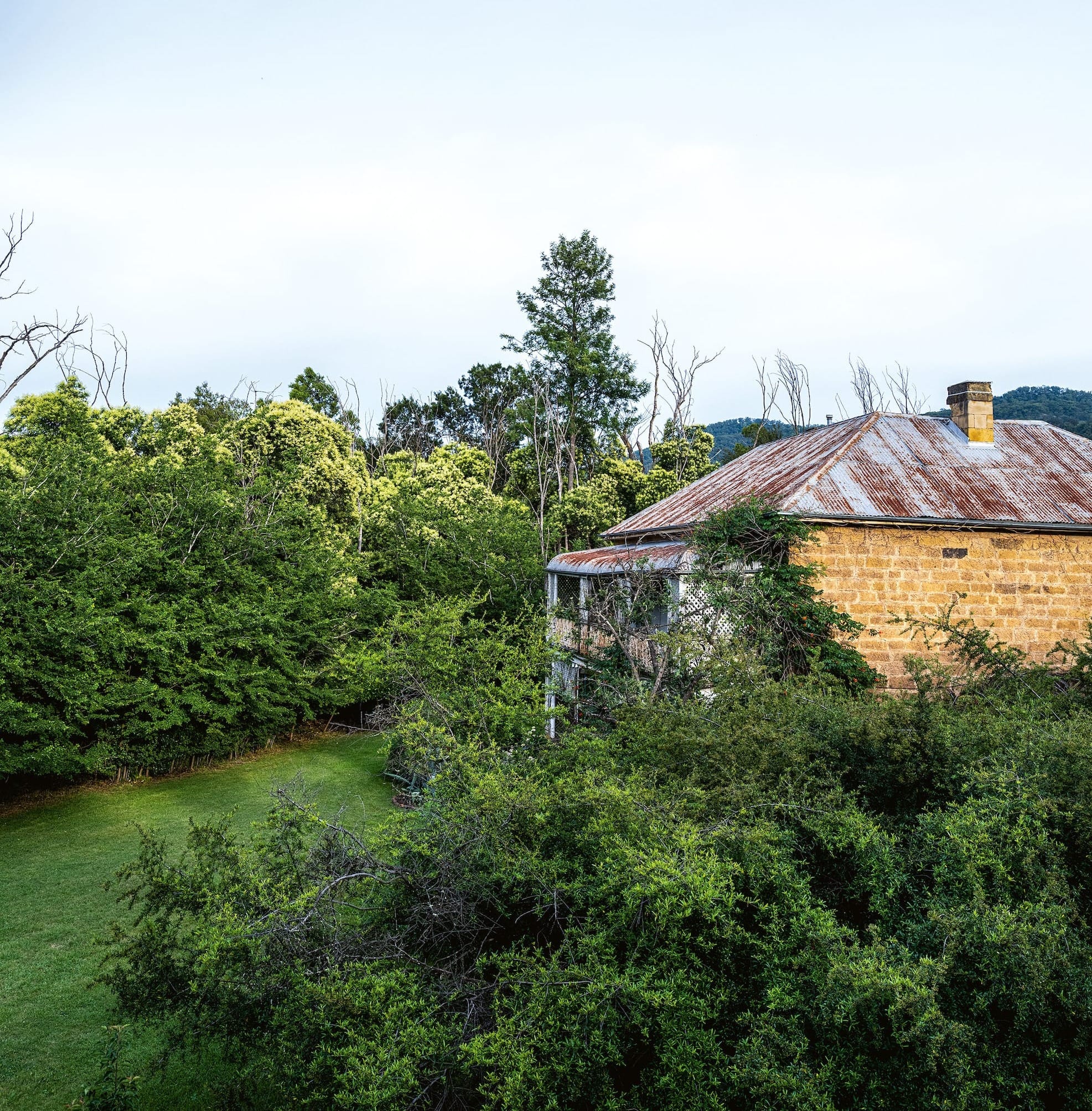 A letter from the editor