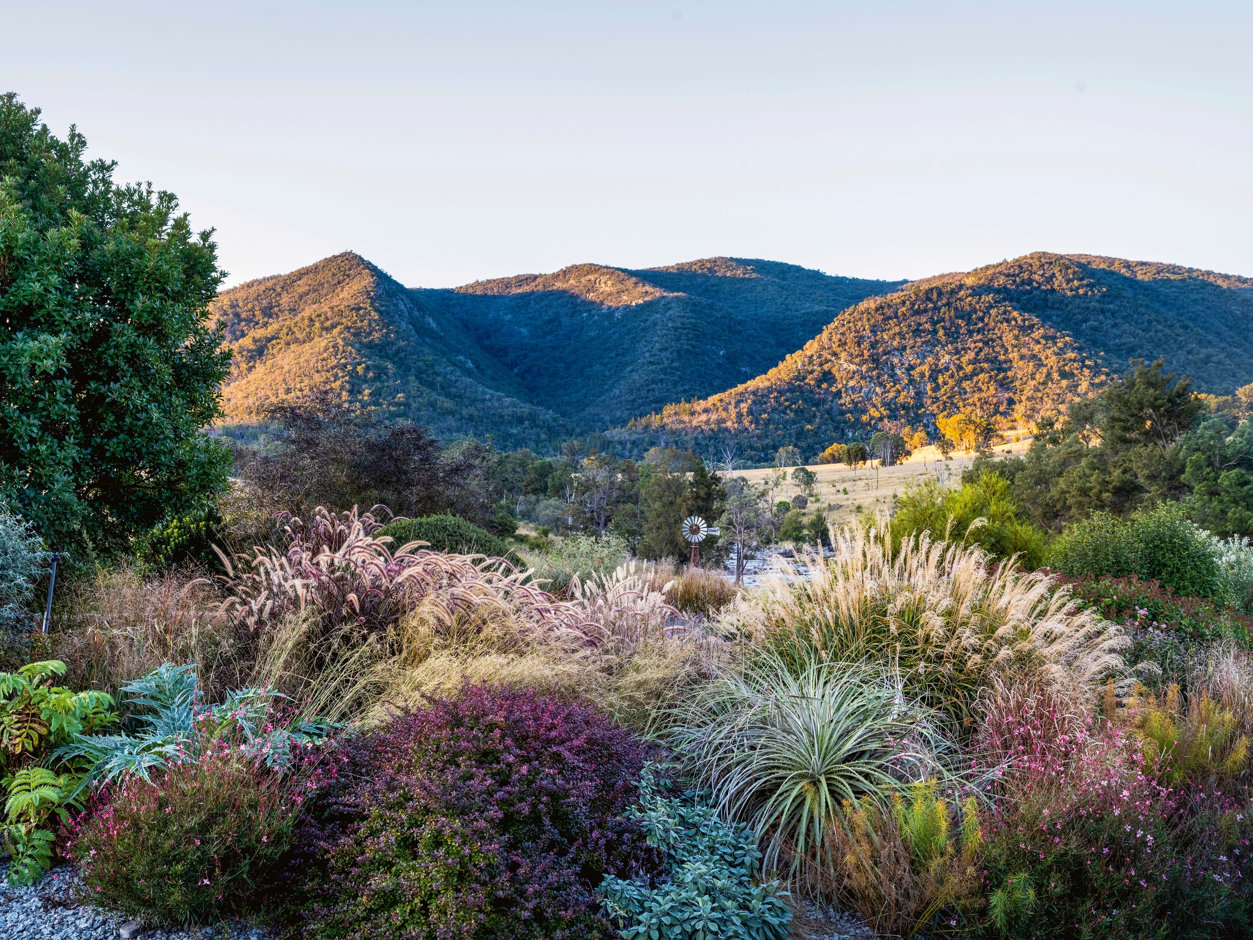 A Garden is Not a Painting